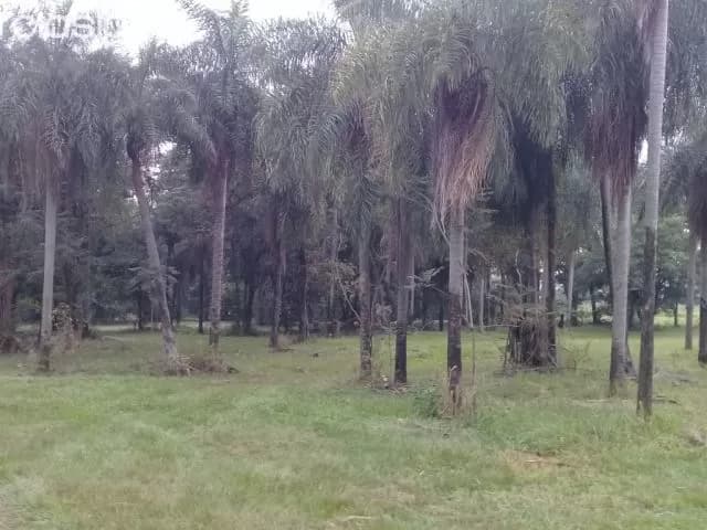 Hermosos lotes en santani, foto 5