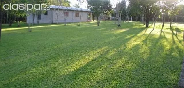 Terreno - balneario en Ciudad del Este km 7 ciudad nueva — foto 2