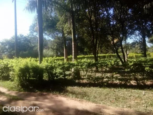 Terreno en el centro de orqueta, concepción!!! — foto 2