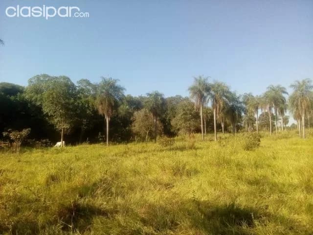 Terreno en el centro de orqueta, concepción!!! — foto 4