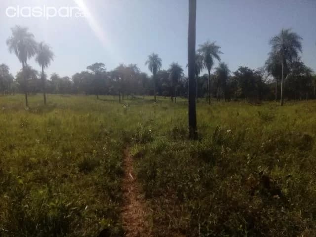 Terreno en el centro de orqueta, concepción!!! — foto 5