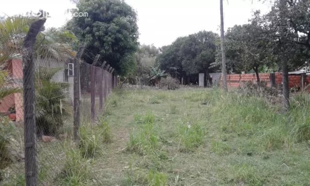 Terreno sobre ruta 3 en emboscada — foto 5