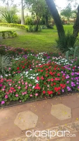5 hectáreas en Patiño,con costa en el lago Ypacaraí, con Residencia — foto 3