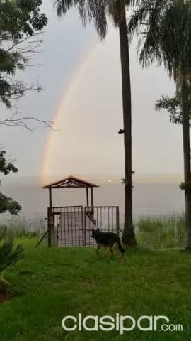 5 hectáreas en Patiño,con costa en el lago Ypacaraí, con Residencia — foto 4