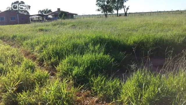 Hermosa estancia de 630 ha en yataity — foto 3