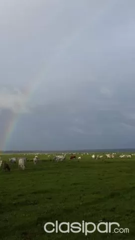 Hermosa estancia de 630 ha en yataity — foto 5