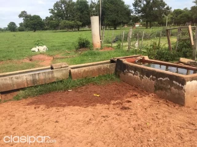 288 ha. Campo natural con alambrado — foto 3