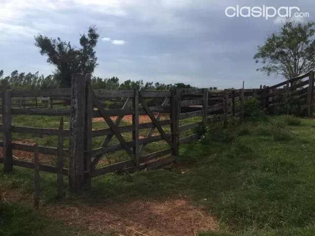 288 ha. Campo natural con alambrado — foto 4