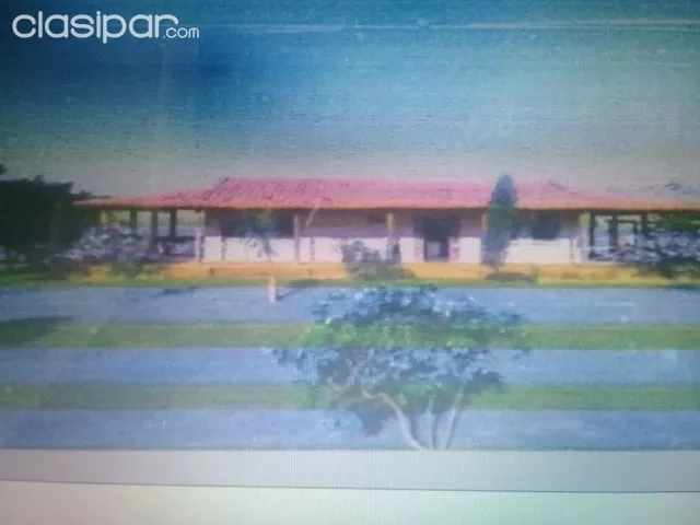 Escucho oferta sobre asfalto cnel oviedo estancia 93 has, foto 2