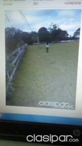Hermosa granja de 15 hectareas en arroyos y esteros, foto 3