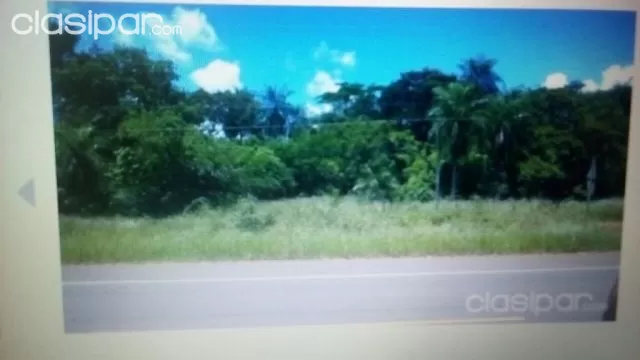 Hermosa granja de 15 hectareas en arroyos y esteros, foto 4