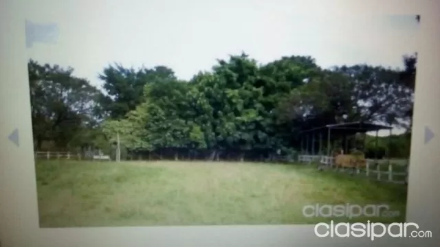 Hermosa granja de 15 hectareas en arroyos y esteros, foto 5