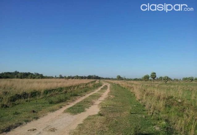 Propiedad de 422 hectareas en juan de mena. Cordillera. Paraguay — foto 1