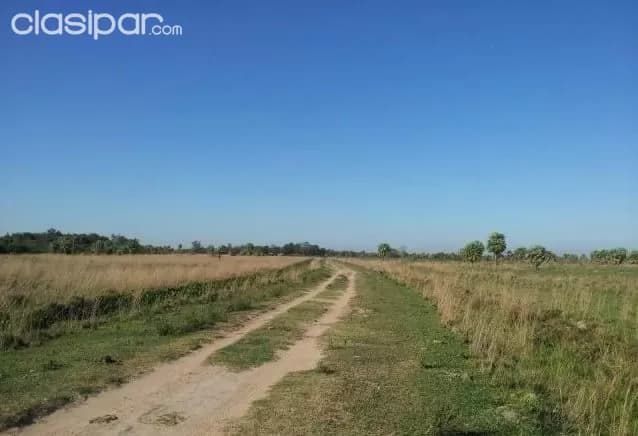Propiedad de 422 hectareas en juan de mena. Cordillera. Paraguay — foto 2