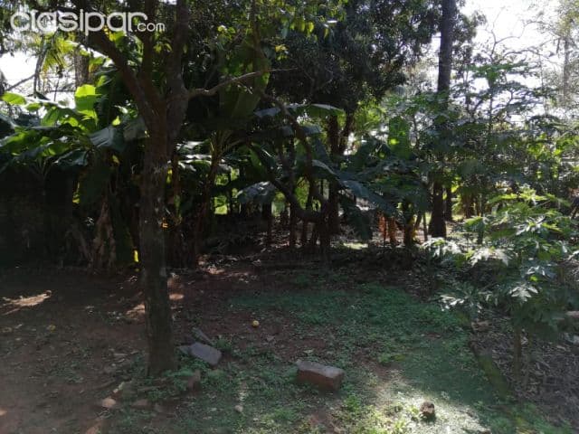 3 terrenos en el centro de Luque