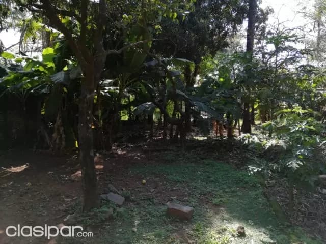 3 terrenos en el centro de Luque — foto 2