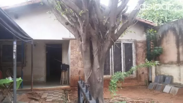 Casa sobre lilio — foto 2