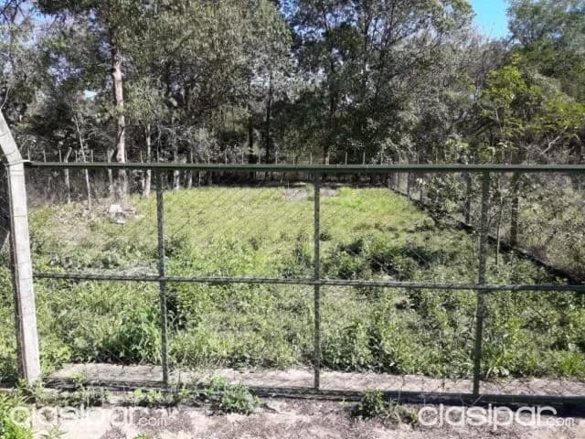 Terreno en barrio cerrado de itaugua a orillas del lago ypacarai especial para casa quinta — foto 5