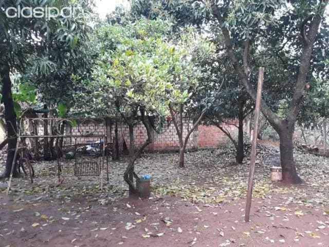 Hermoso terreno en el km 30 a 100 m de la ruta internadcional, foto 4