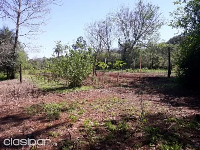 8,600 m2 a 100 m de la super carretera — foto 2