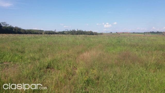 HERMOSO TERRENO DE 100 X 500 en el km 7 cuidad nueva