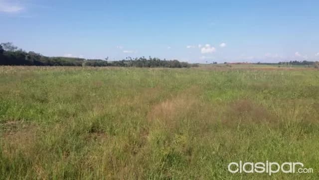 HERMOSO TERRENO DE 100 X 500 en el km 7 cuidad nueva, foto 2