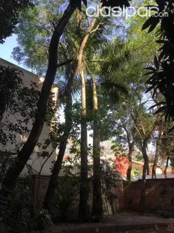 Hermoso Lote en Lambare , 13x30 ,a cuadras del Super Metro, barrio super residencial, foto 5