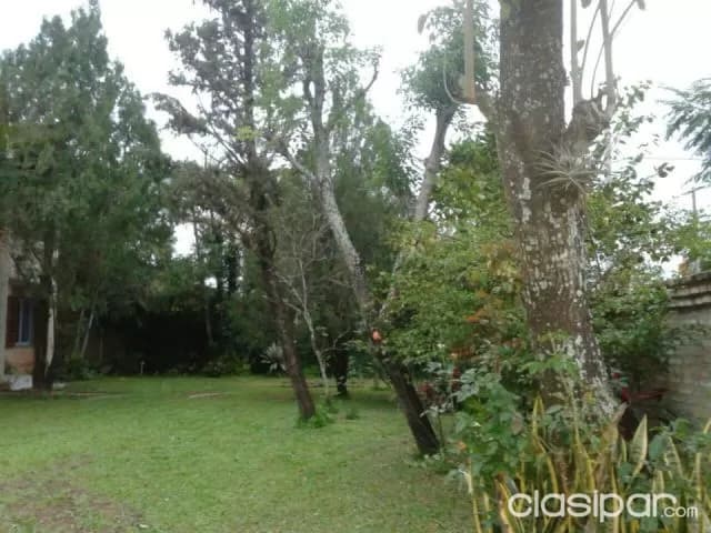 Casa con 4 terrenos juntos detrás del CIT - Luque, foto 5