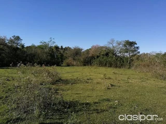 Isla valle – aregua: 30 maravillosas hectáreas en venta - 180.000.000 gs/ha — foto 5