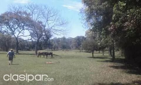 Emboscada–cordillera: 2.5 hectáreas ideales p/ emprendimientos inmobiliarios — foto 3