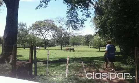 Emboscada–cordillera: 2.5 hectáreas ideales p/ emprendimientos inmobiliarios — foto 4