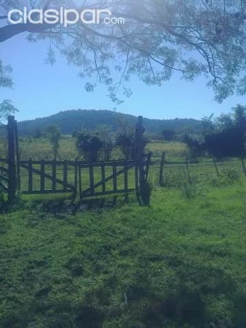 Escobar – paraguarí: 20 hectáreas ideal p/ engorde – — foto 3