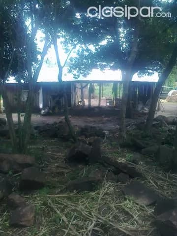 Escobar – paraguarí: 20 hectáreas ideal p/ engorde – — foto 4