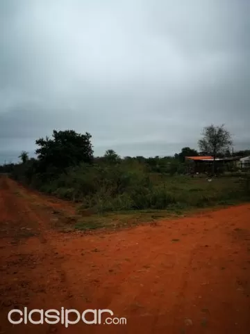 Terreno en zona alta de limpio!!excelente ubicación!!, foto 5