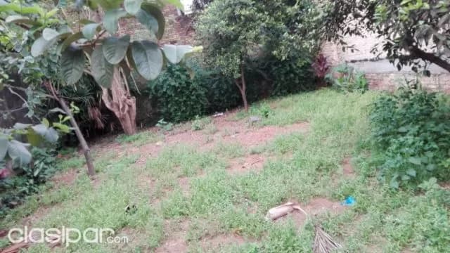 Remató terreno en caacupe, foto 2