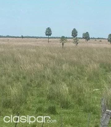 422 hectáreas sobre asfalto en la zona de cordillera. Cod 1405 — foto 3