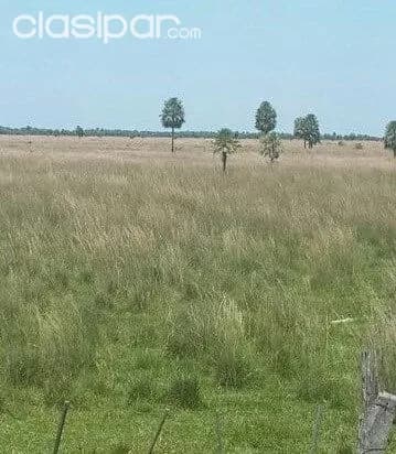 422 hectáreas sobre asfalto en la zona de cordillera. Cod 1405 — foto 4