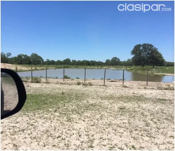 Ruta 12 (pdte. Hayes – chaco): 1.830 hectáreas agro-ganaderas en venta – 850 usd/hectárea, foto 3