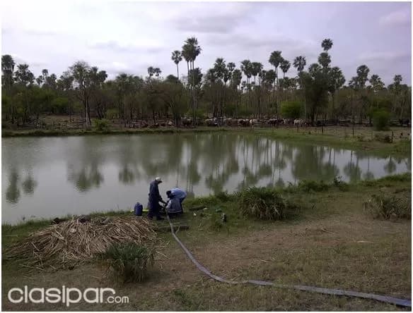 Ruta 12 (pdte. Hayes – chaco): 1.830 hectáreas agro-ganaderas en venta – 850 usd/hectárea, foto 4