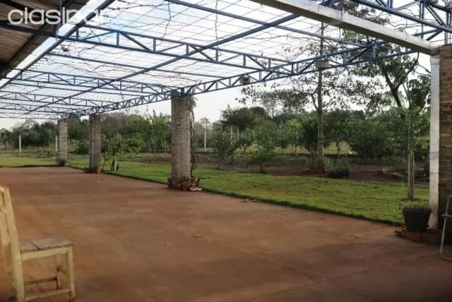 Hermosa granja formada de 6.000 m2 en pleno centro de pte. Franco, foto 2
