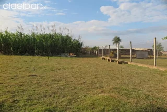 Hermosa granja formada de 6.000 m2 en pleno centro de pte. Franco, foto 3