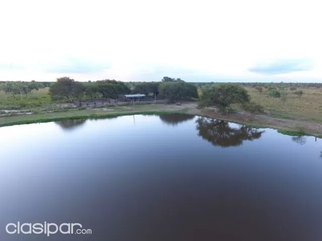 1.338 hectáreas el km 132 de la ruta traschaco, foto 5