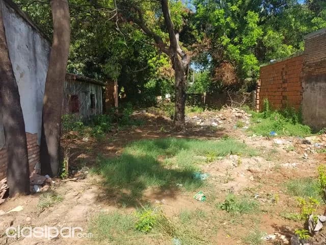 Terreno en Luque zona centro, foto 3