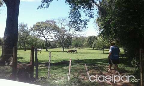 Emboscada: 2.5 has ideales p/ granja, quintas, desarrollos inmobiliarios – 220.000.000 gs — foto 1