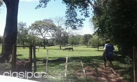 Emboscada: 2.5 has ideales p/ granja, quintas, desarrollos inmobiliarios – 220.000.000 gs — foto 2