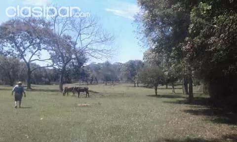 Emboscada: 2.5 has ideales p/ granja, quintas, desarrollos inmobiliarios – 220.000.000 gs — foto 3