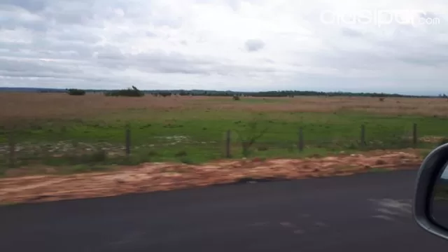 Nueva italia – guarambaré: 324 hectareas tituladas en venta, foto 3