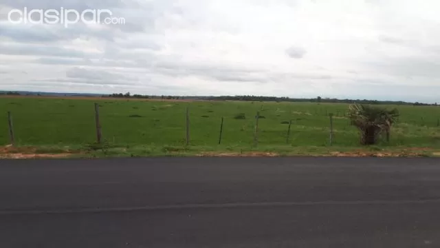 Nueva italia – guarambaré: 324 hectareas tituladas en venta, foto 4
