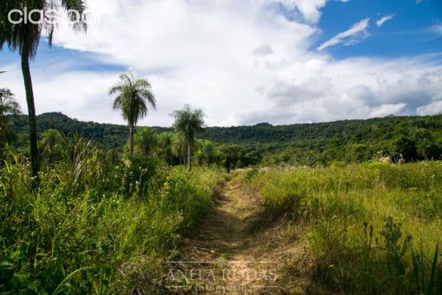 Hermoso campo en paraguarí! Ideal para todo tipo de emprendimiento!