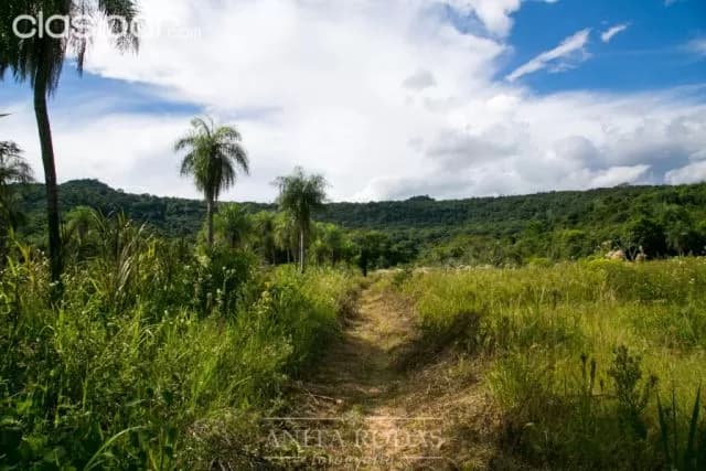 Hermoso campo en paraguarí! Ideal para todo tipo de emprendimiento! — foto 2